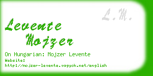 levente mojzer business card